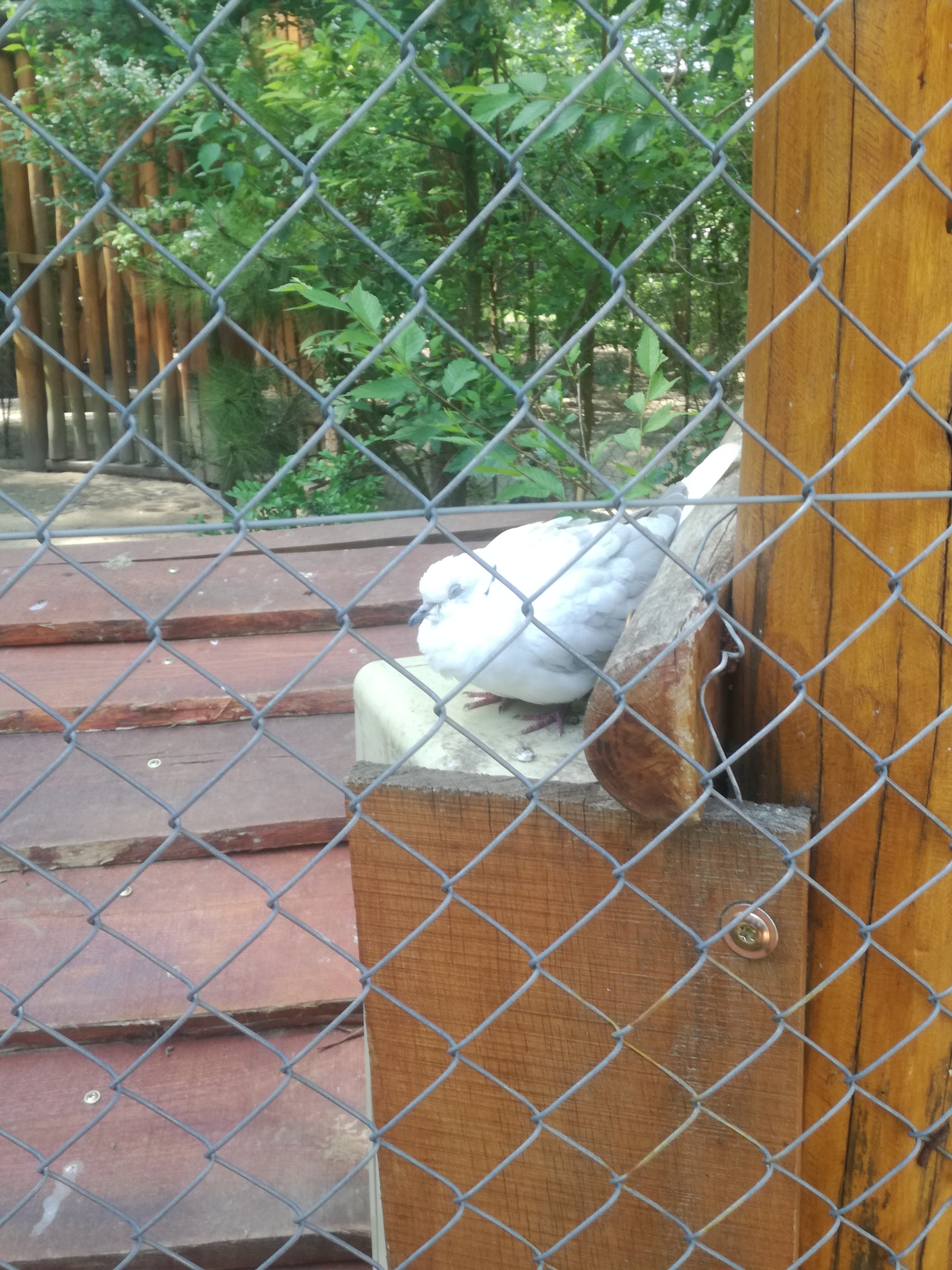 IMG 20210610 102220.jpg