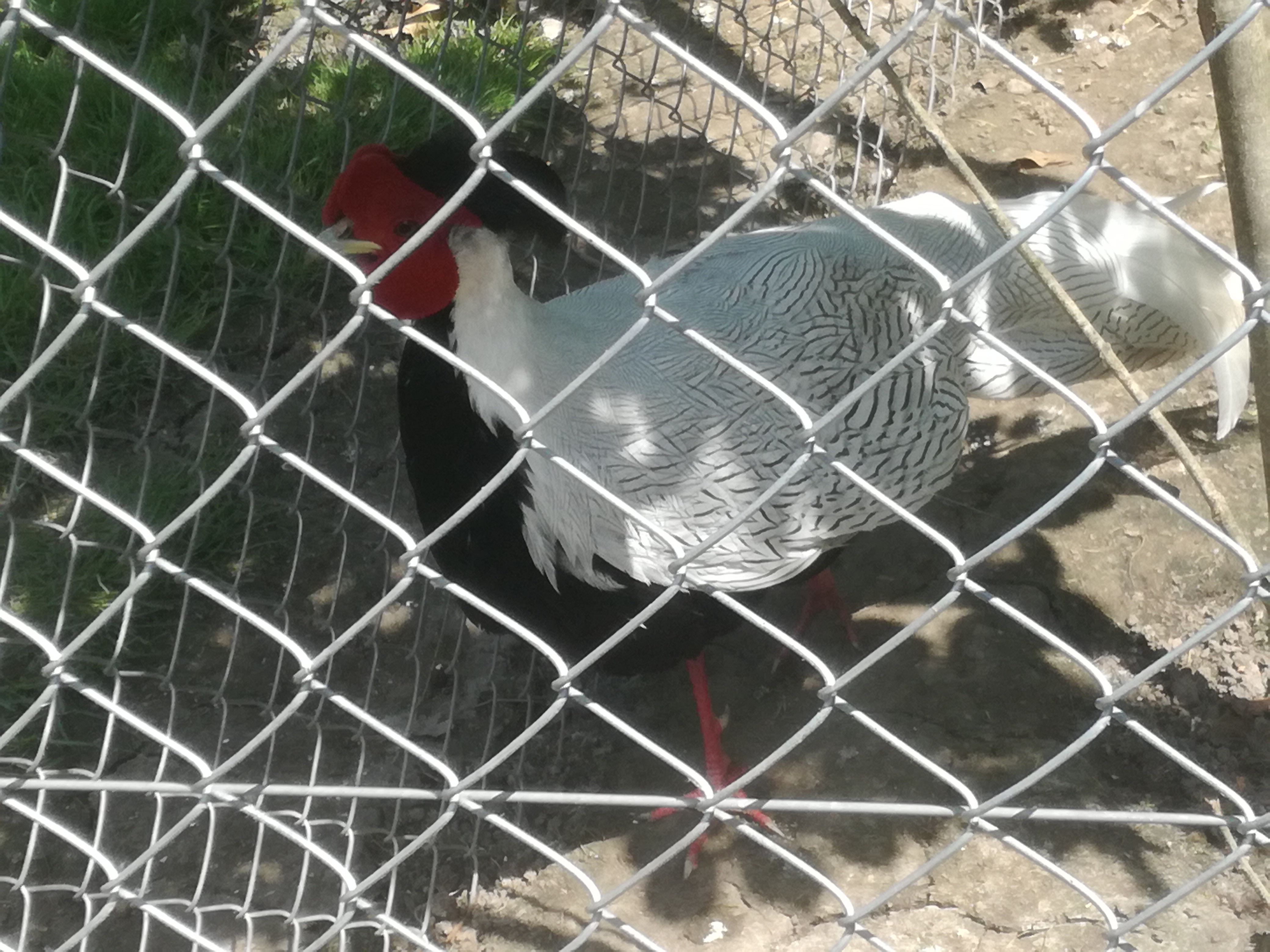 IMG 20210610 102220.jpg