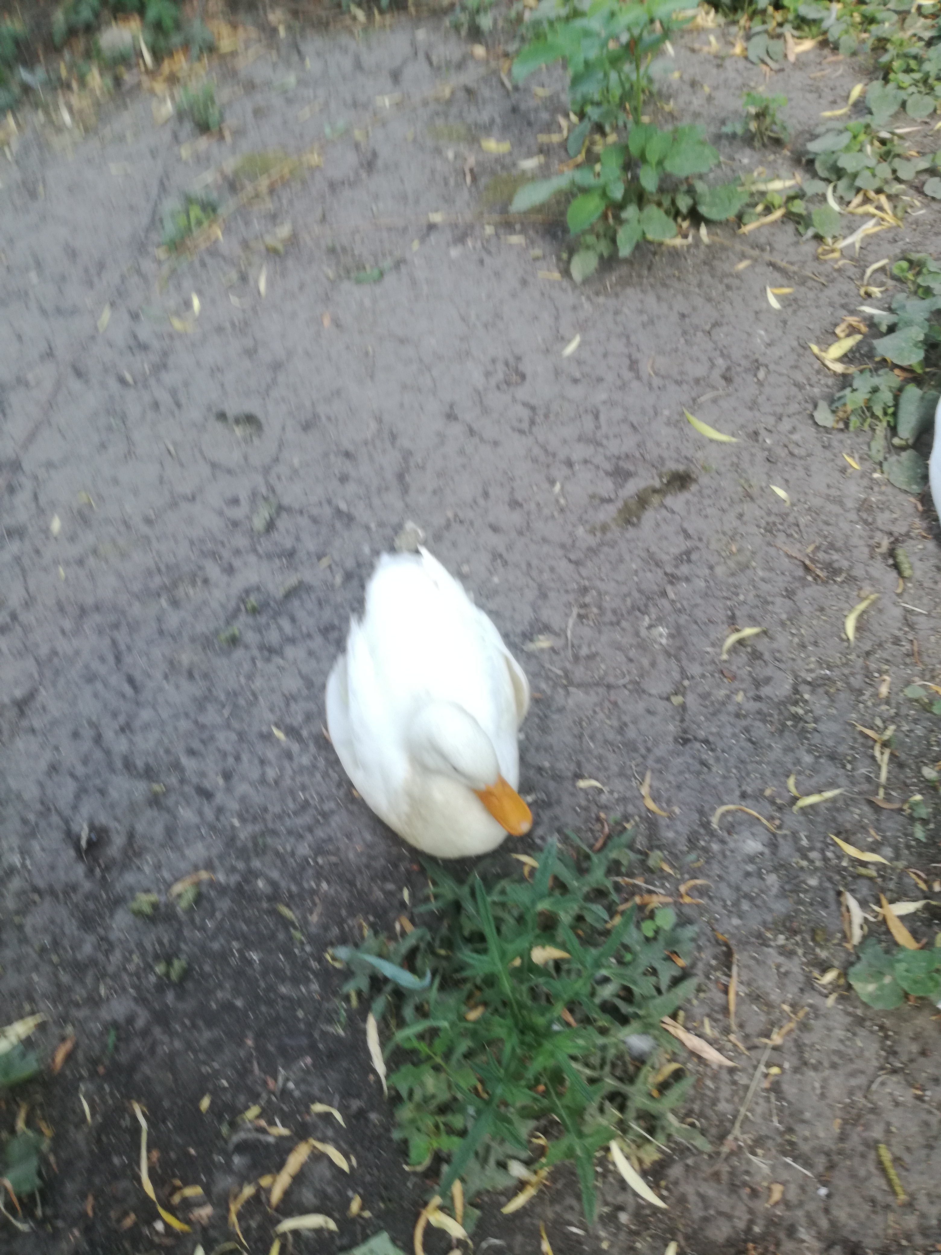 IMG 20210610 102220.jpg