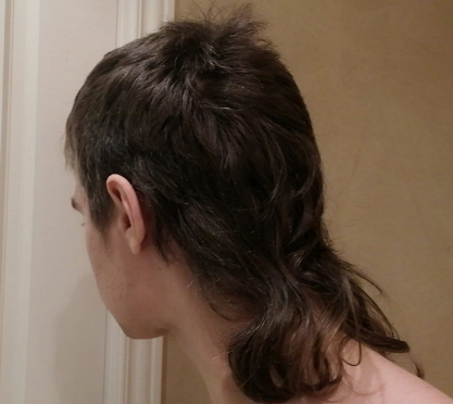 mullet update 8