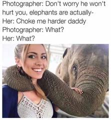 What?