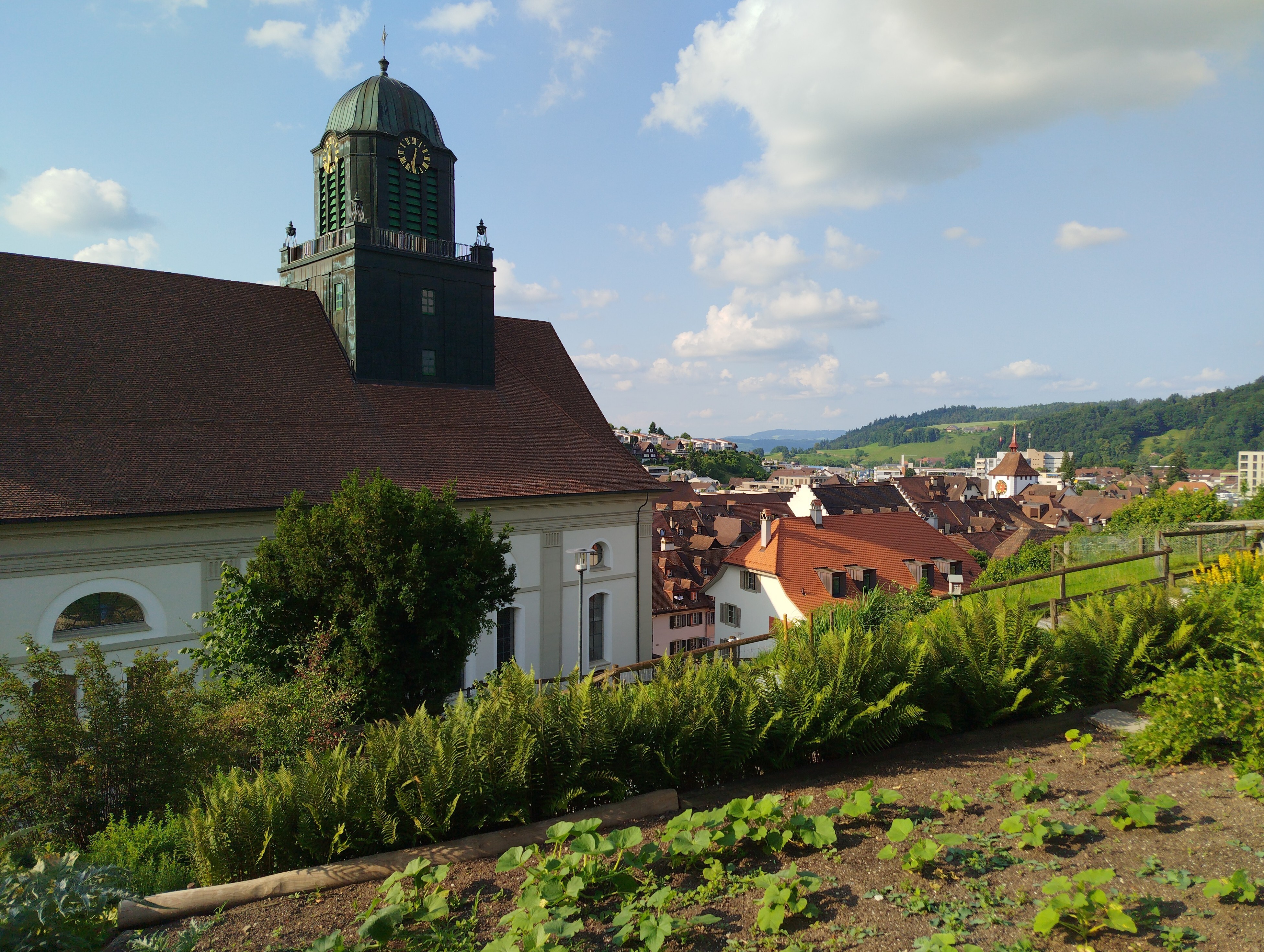 Willisau