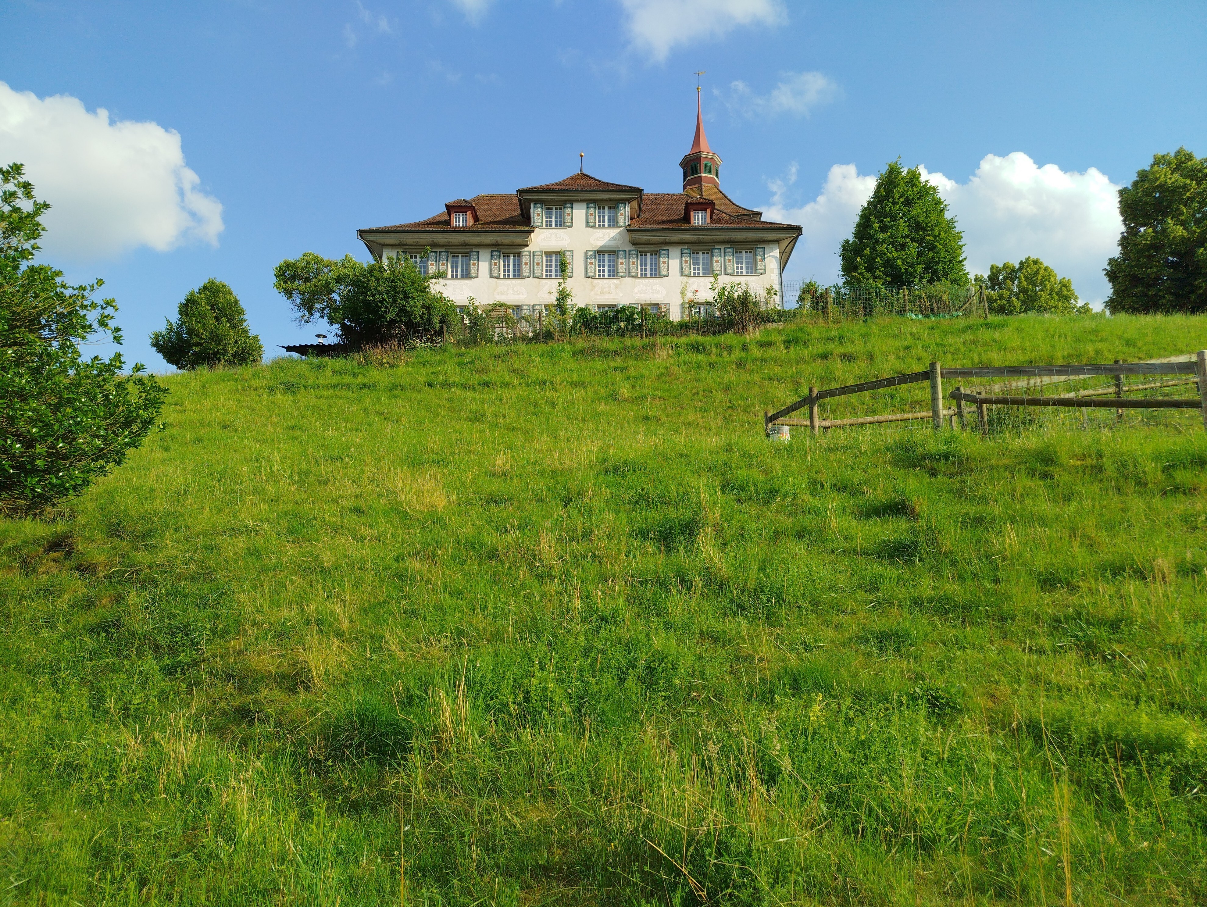 Willisau