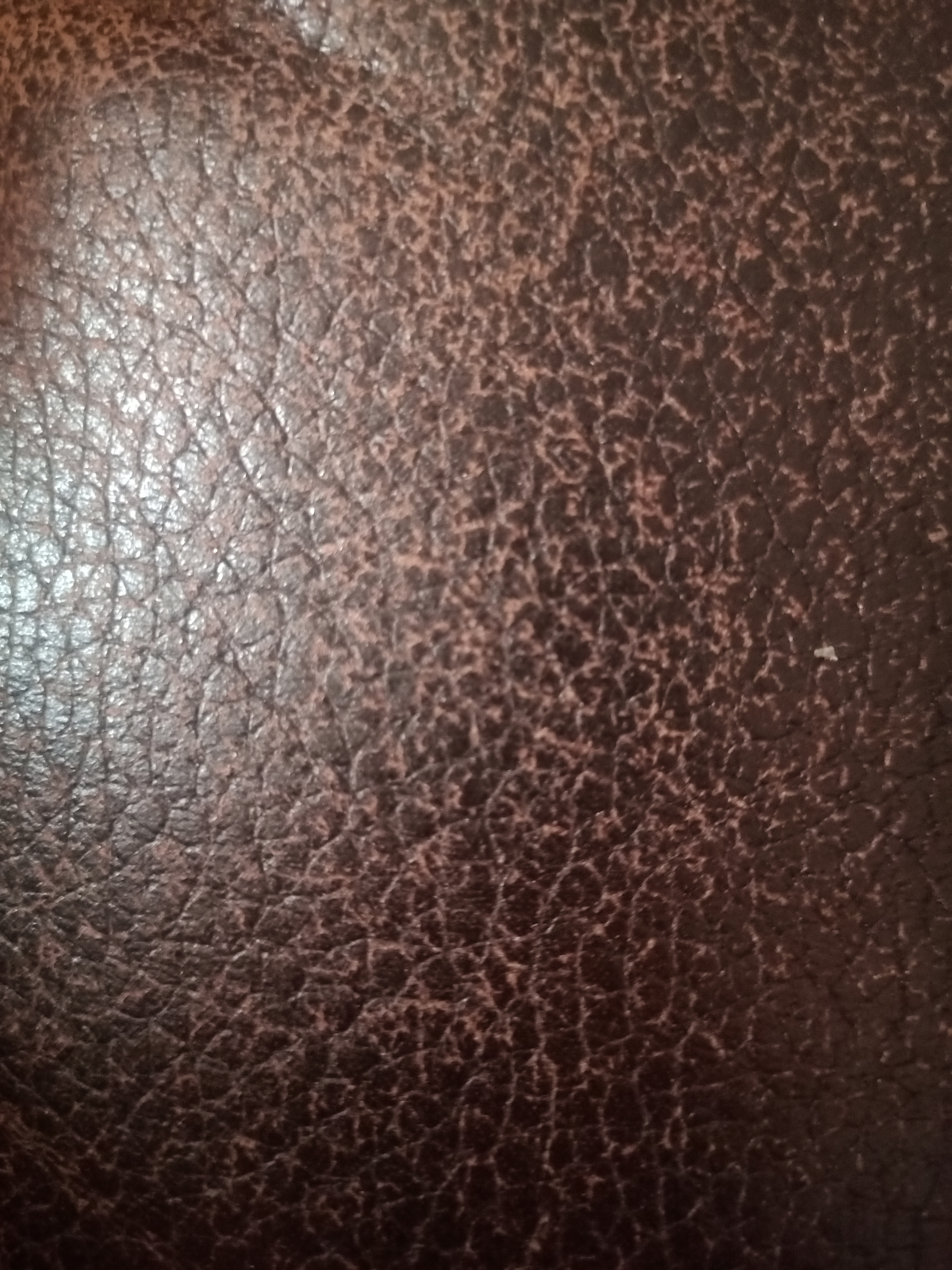 Leder Brown