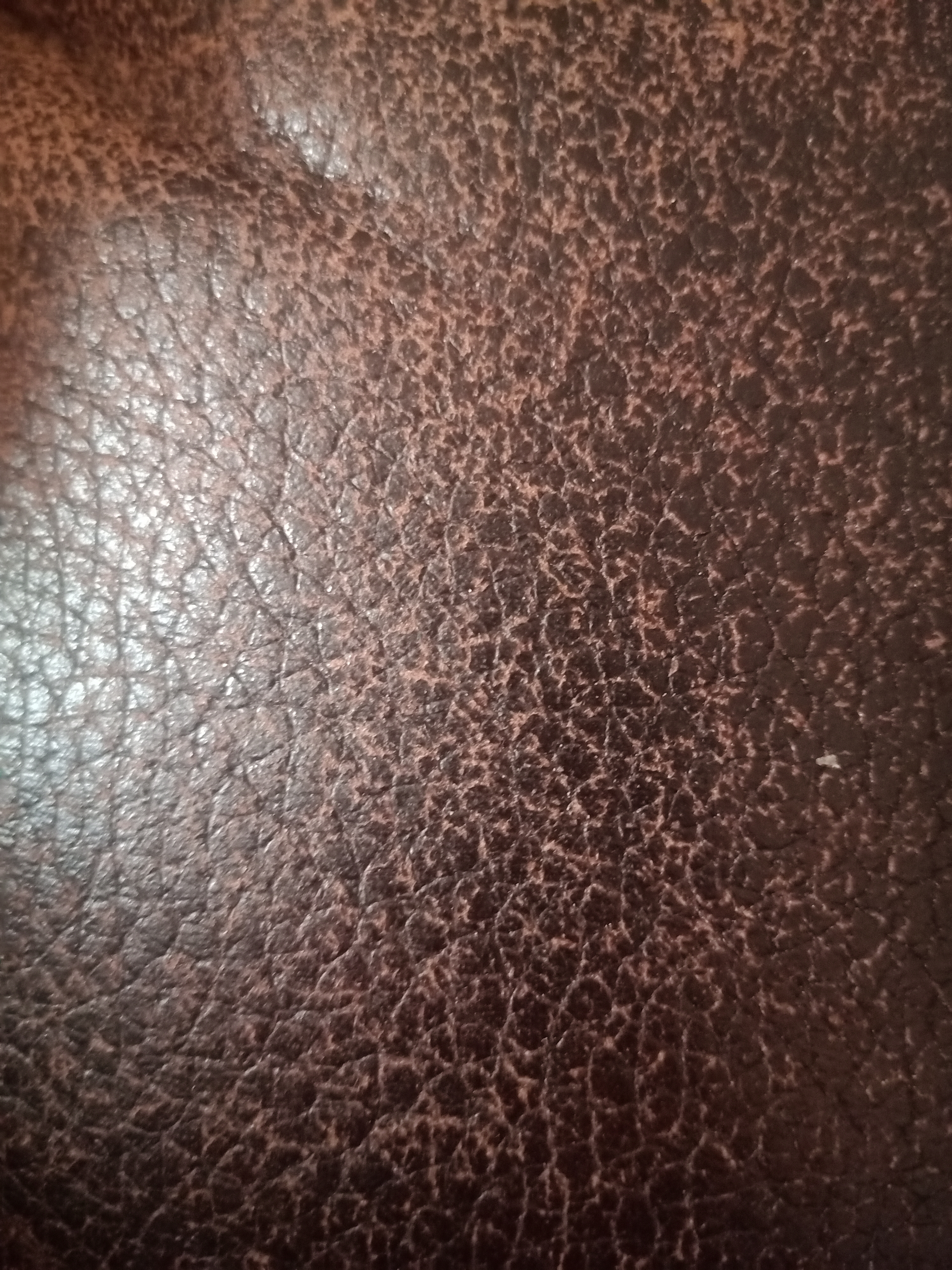 Leder Brown