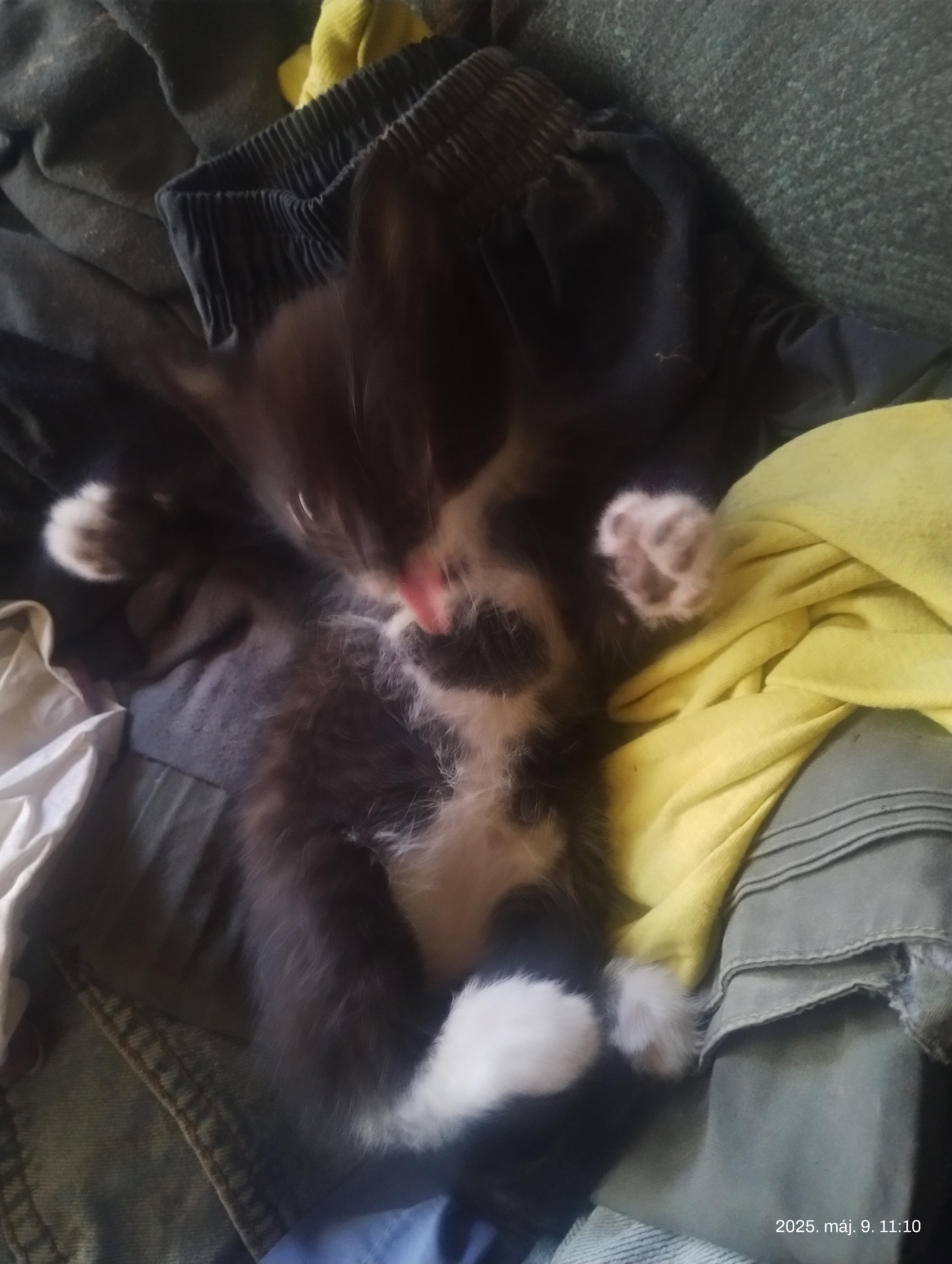 IMG 20250402 104240182.jpg
