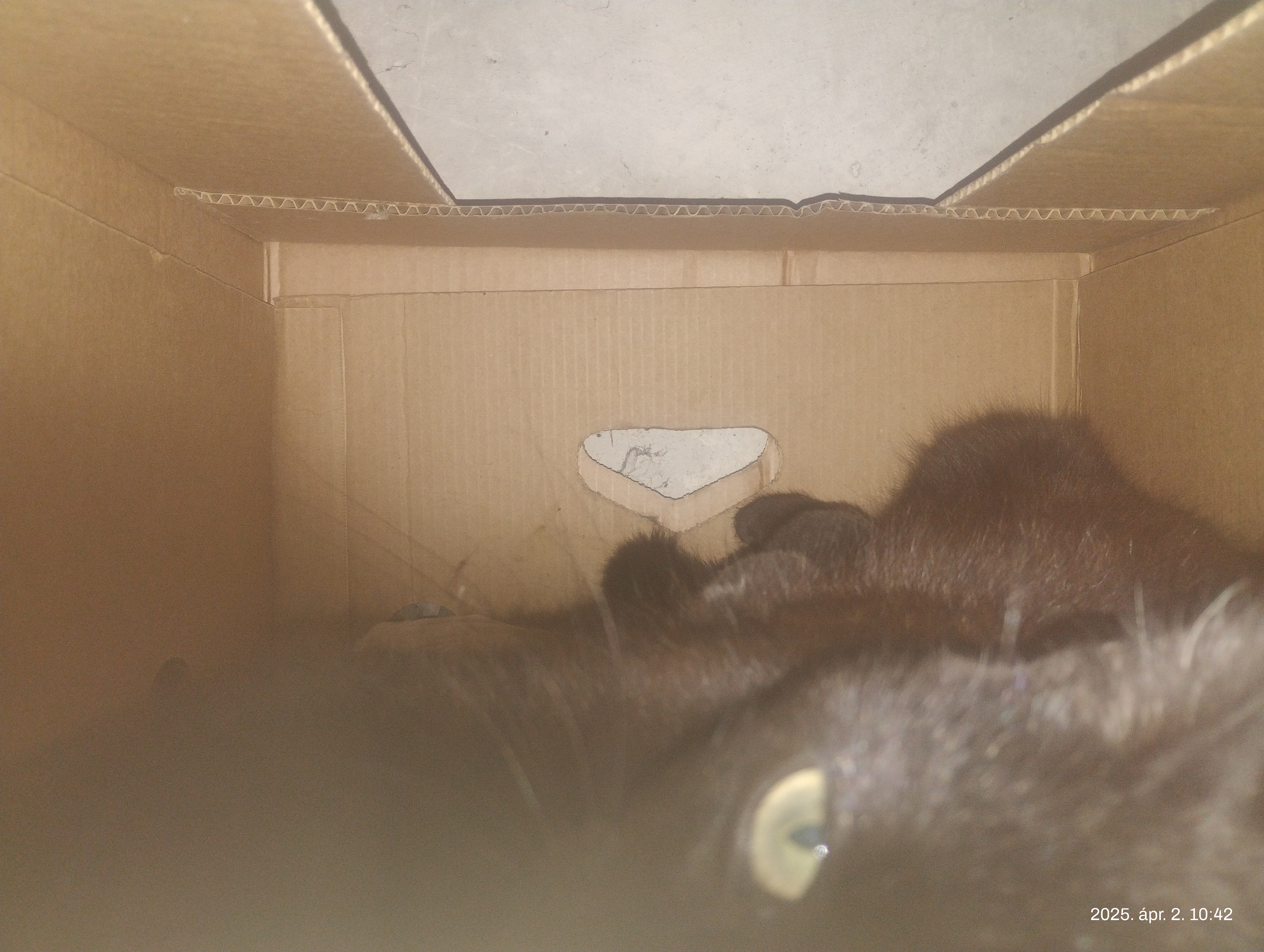 IMG 20250402 104240182.jpg