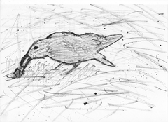crow.png