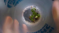 the mixture