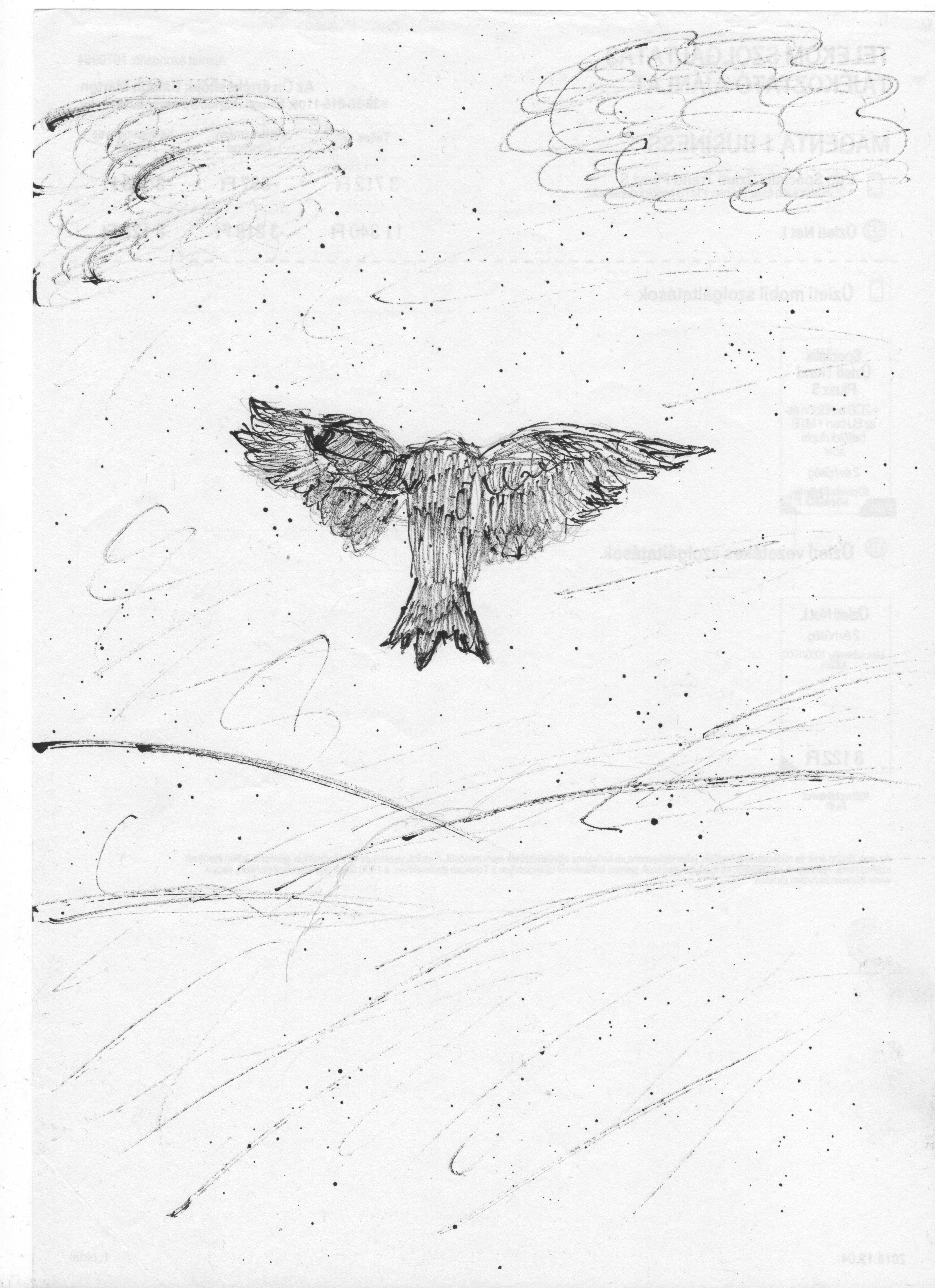 crow0001.png