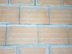 IMG 20220312 050042 020.jpg