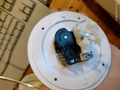 IMG 20250116 074253234.jpg
