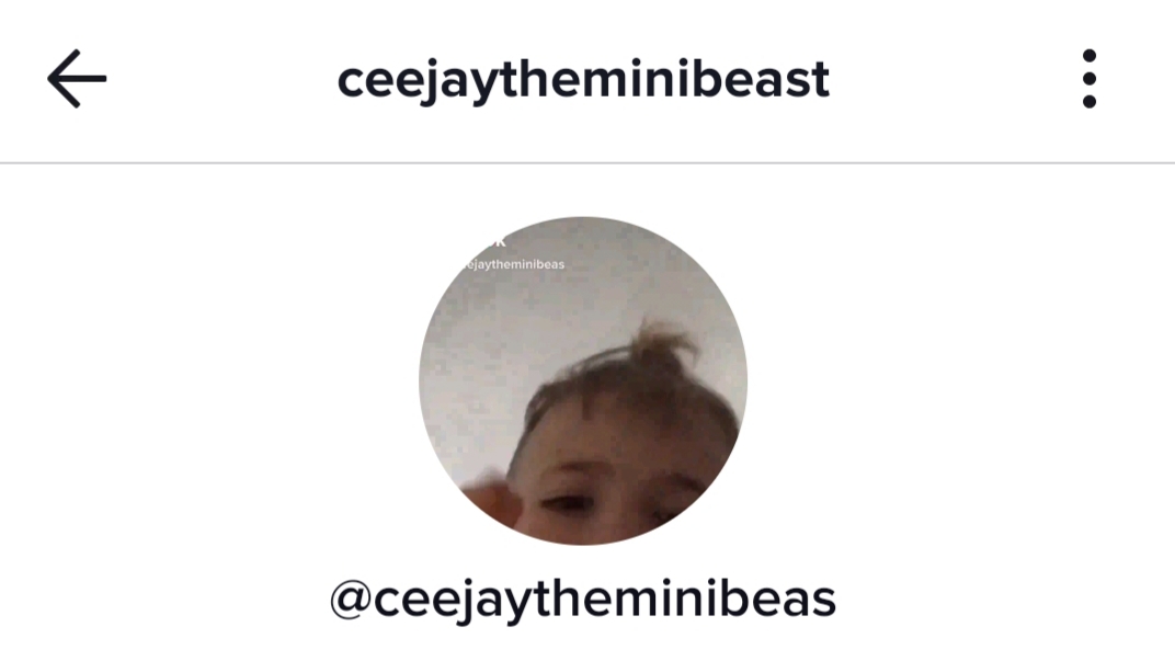 Ceejaytheminibeast