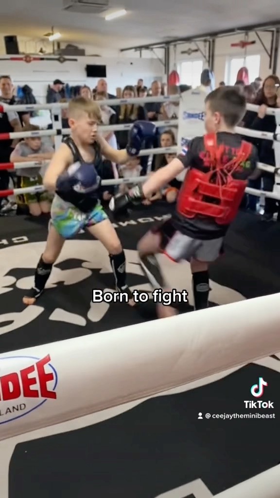 Ceejaytheminibeast