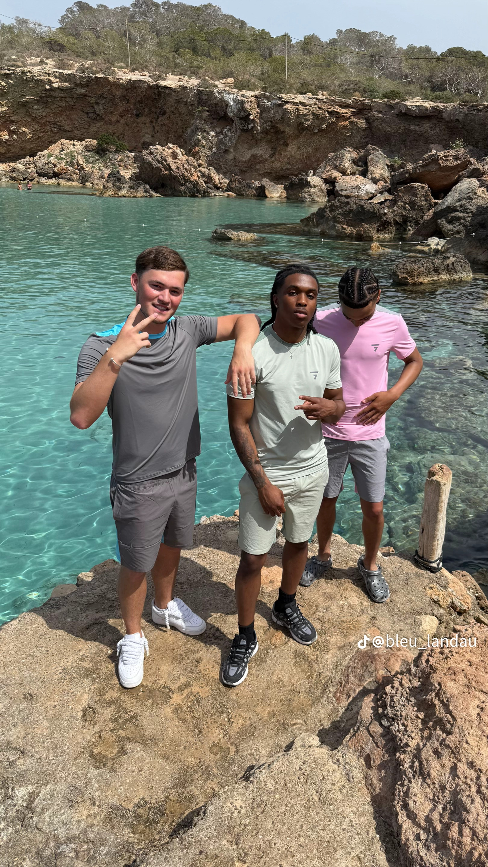 Bleu Landau