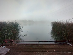 IMG 20241007 093140807.jpg