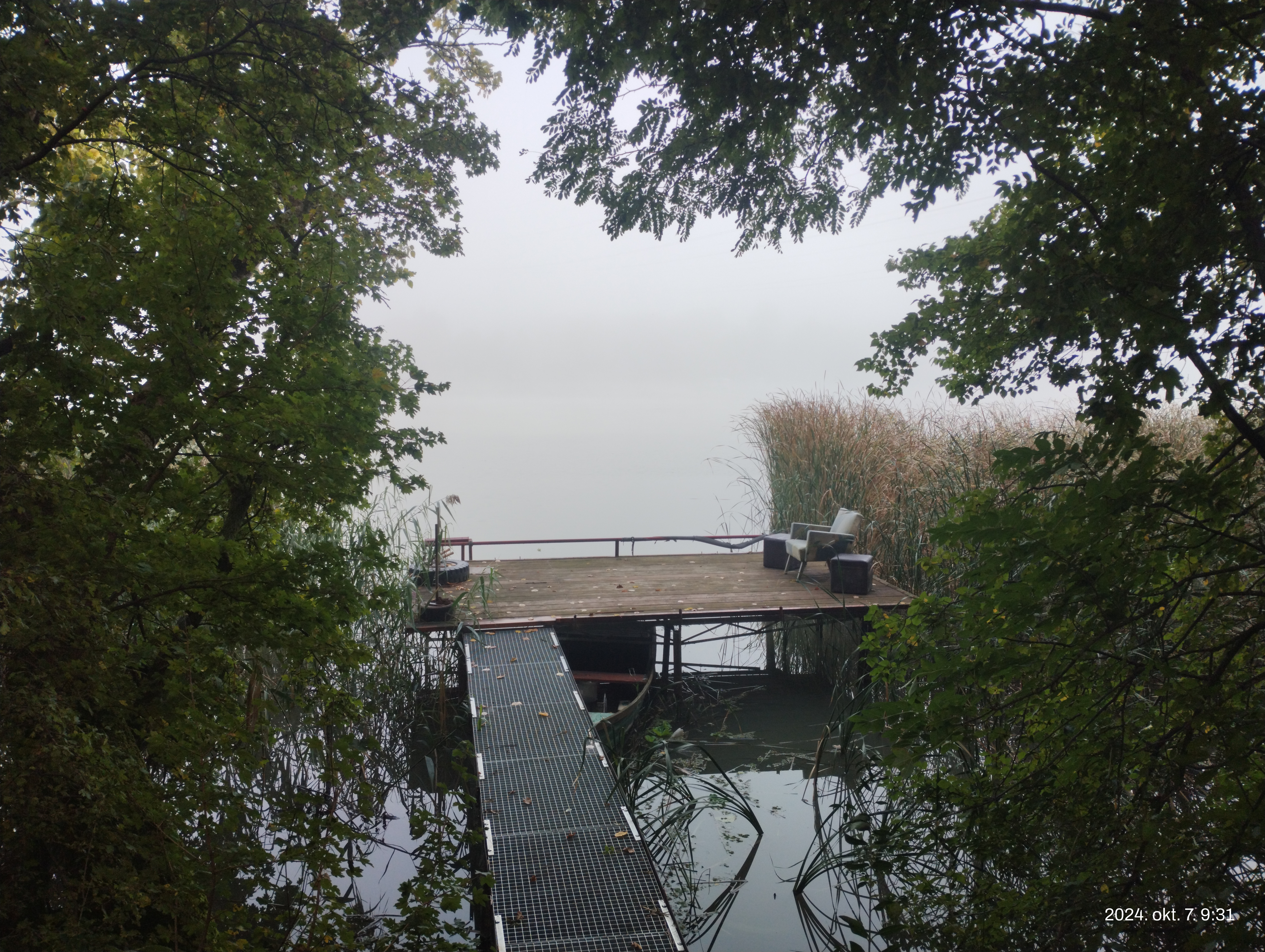 IMG 20241007 093140807.jpg