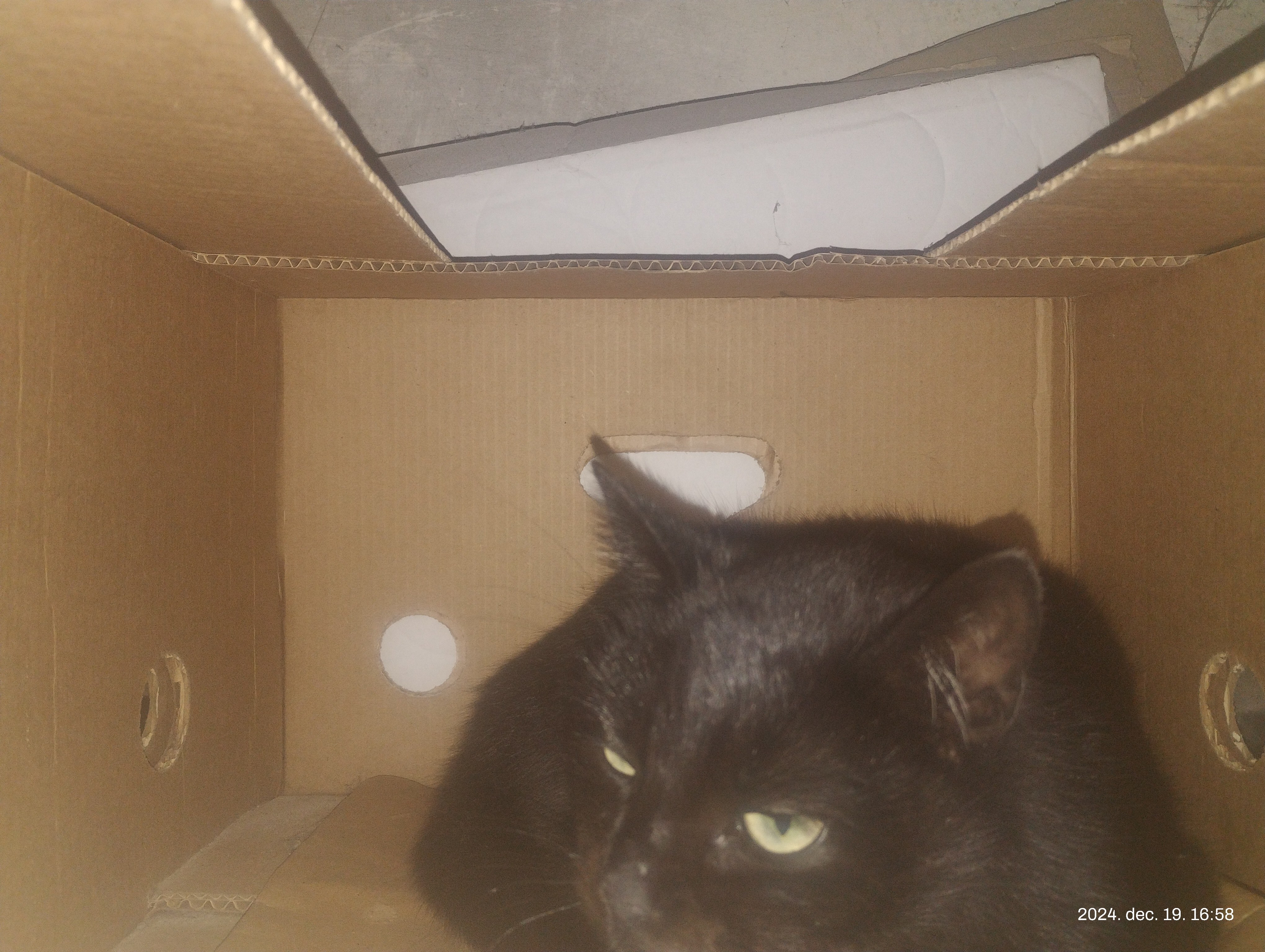 IMG 20241219 165851515.jpg