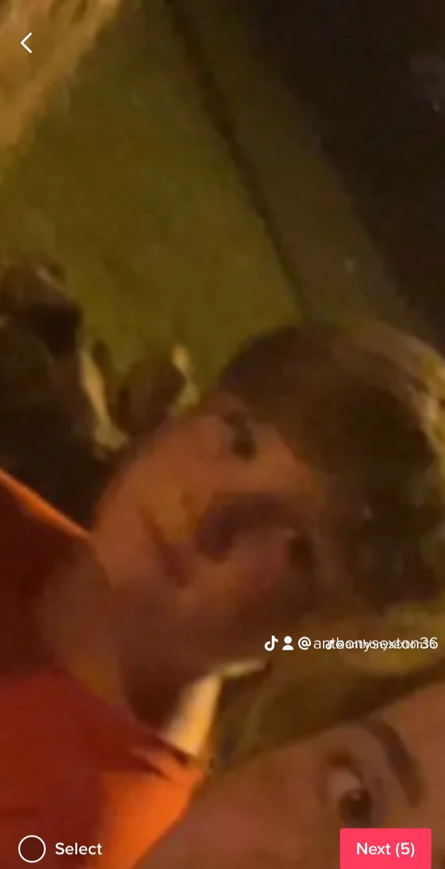 TikTok lads