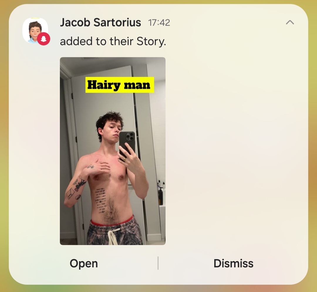 Jacob Sartorius