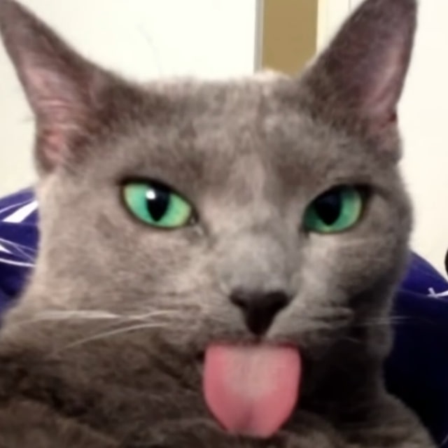 photo 2024-05-16 18.32.33.jpeg