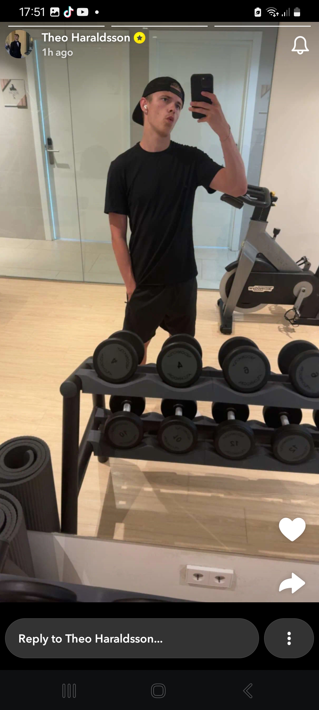 Theo Haraldsson (Theoz)