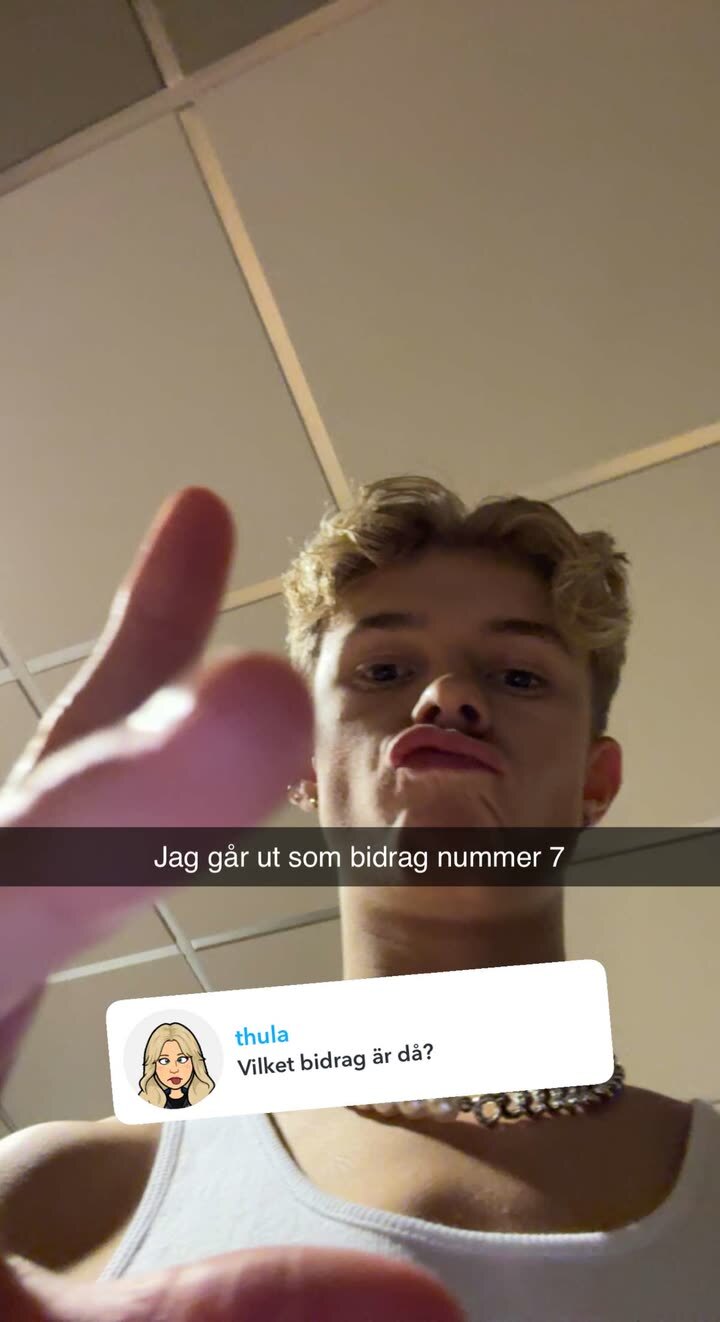 Theo Haraldsson (Theoz)