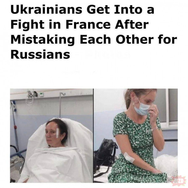lol2137