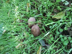 IMG 20241007 094808493.jpg