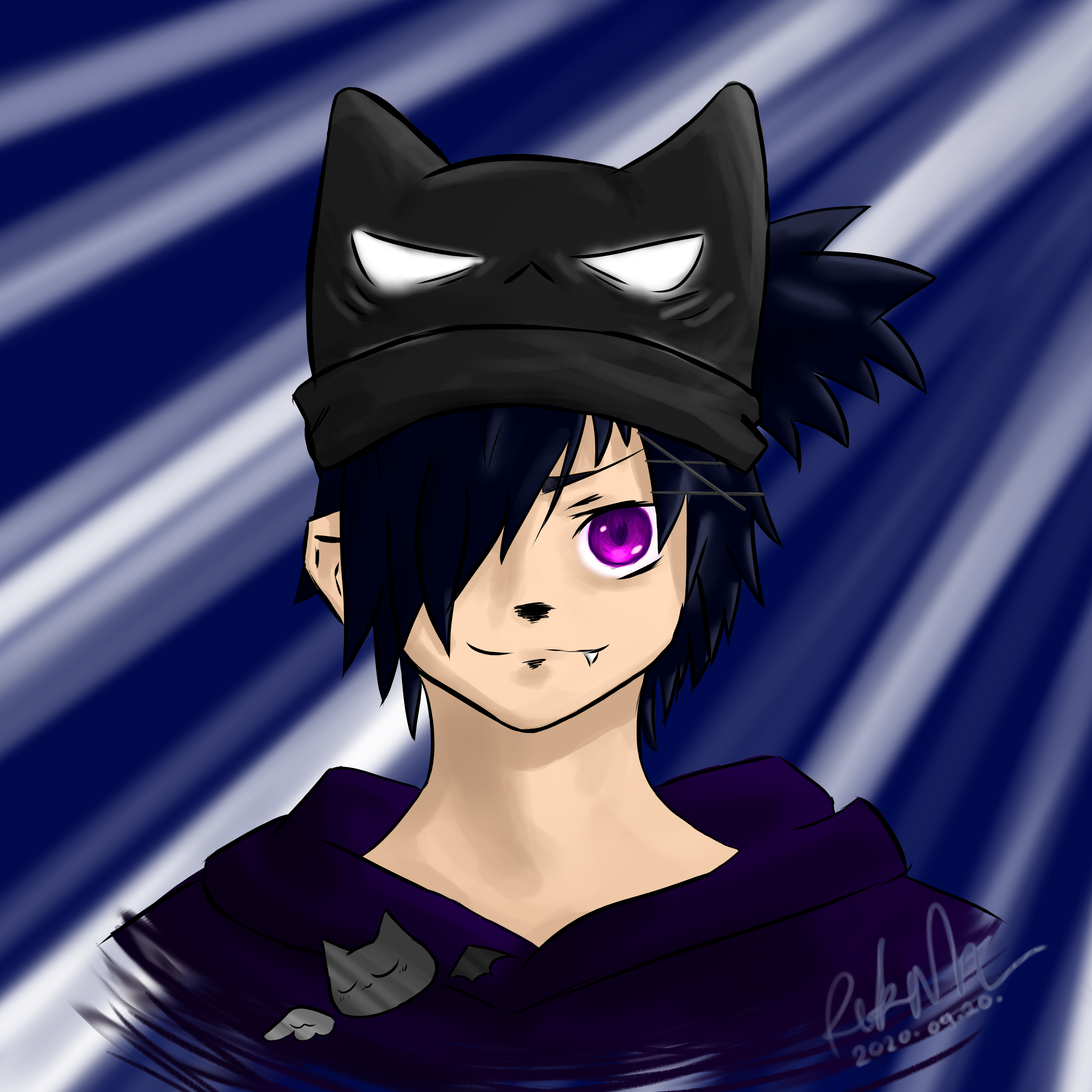 cat hat