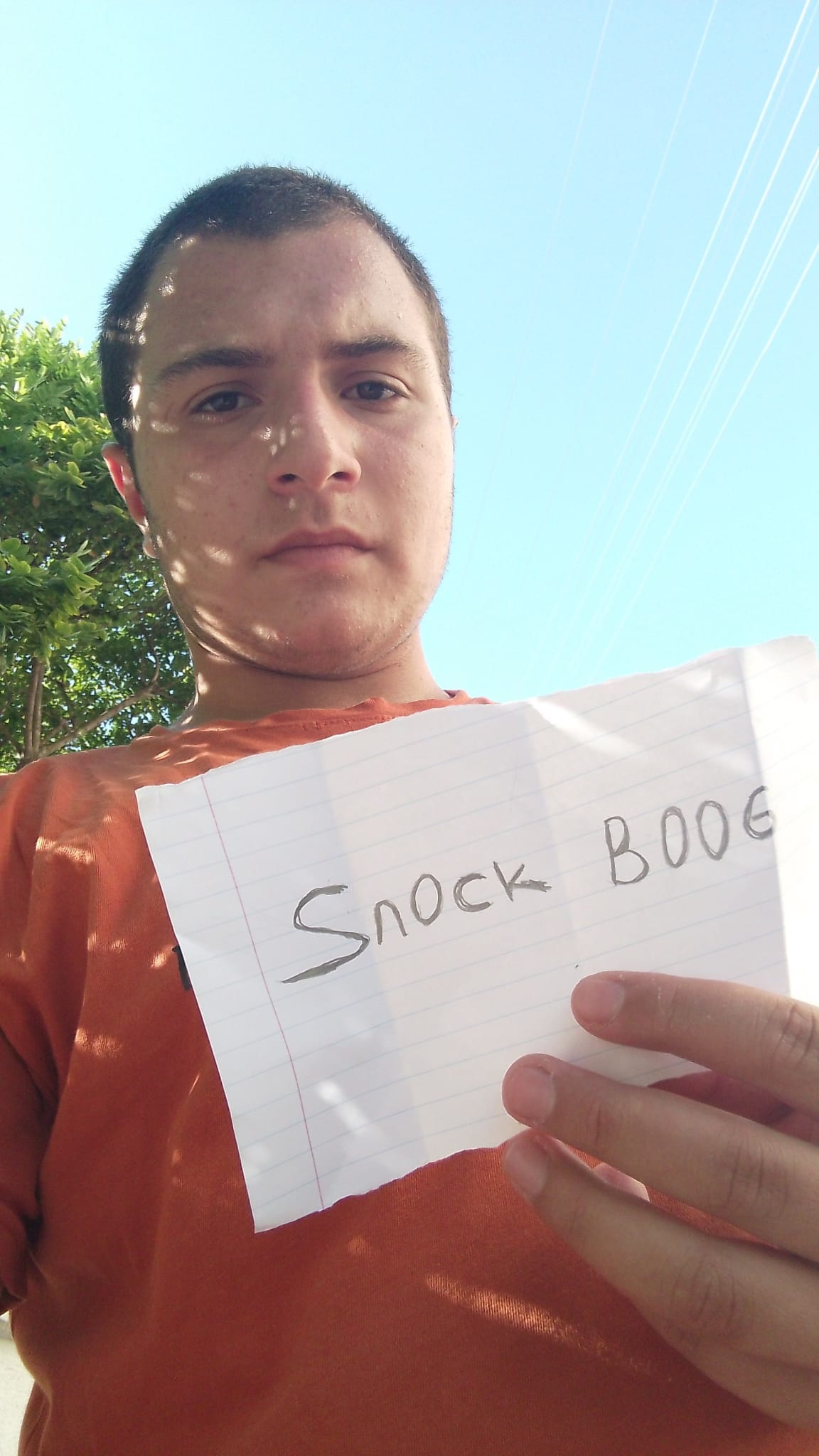 SnockBoog