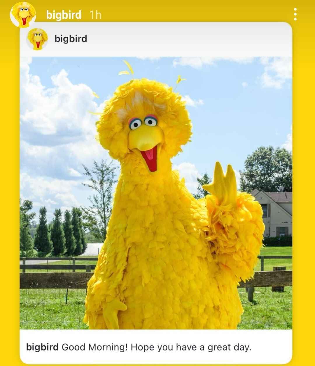 Sesame Street