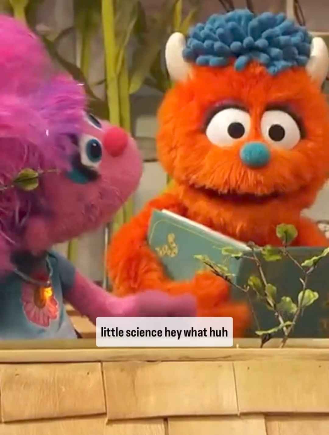 Sesame Street