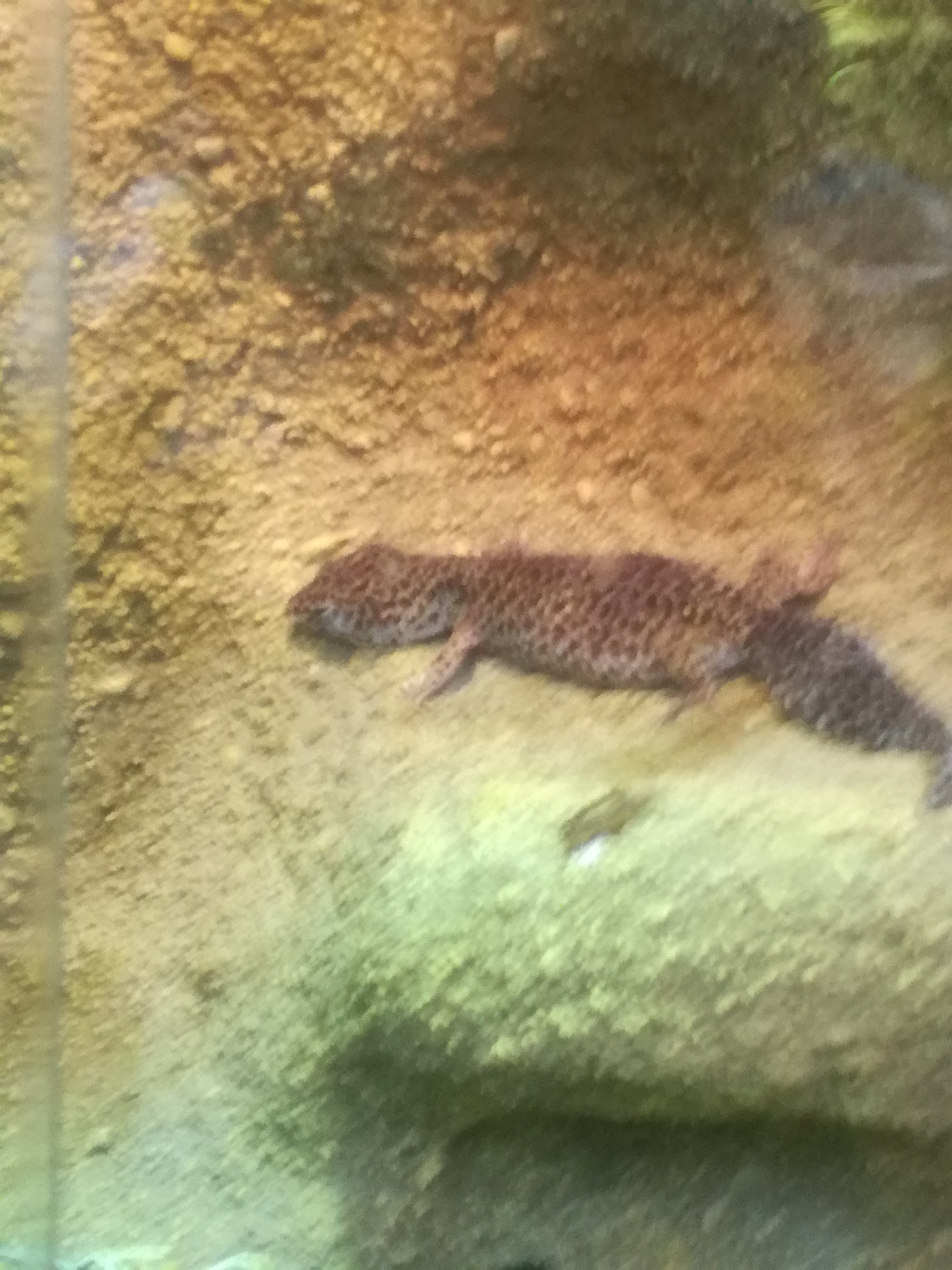 IMG 20220530 100630.jpg