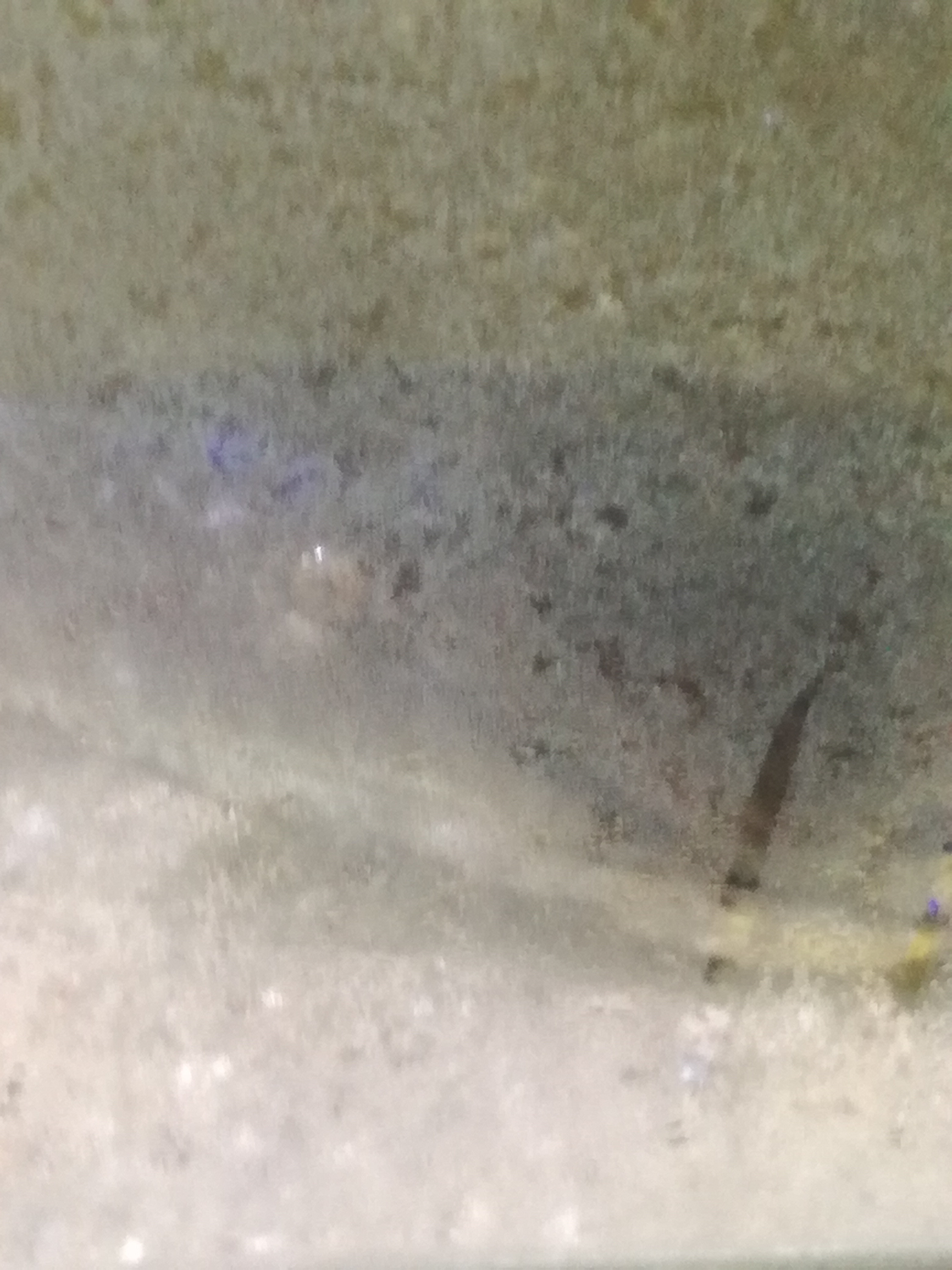 IMG 20220530 100630.jpg