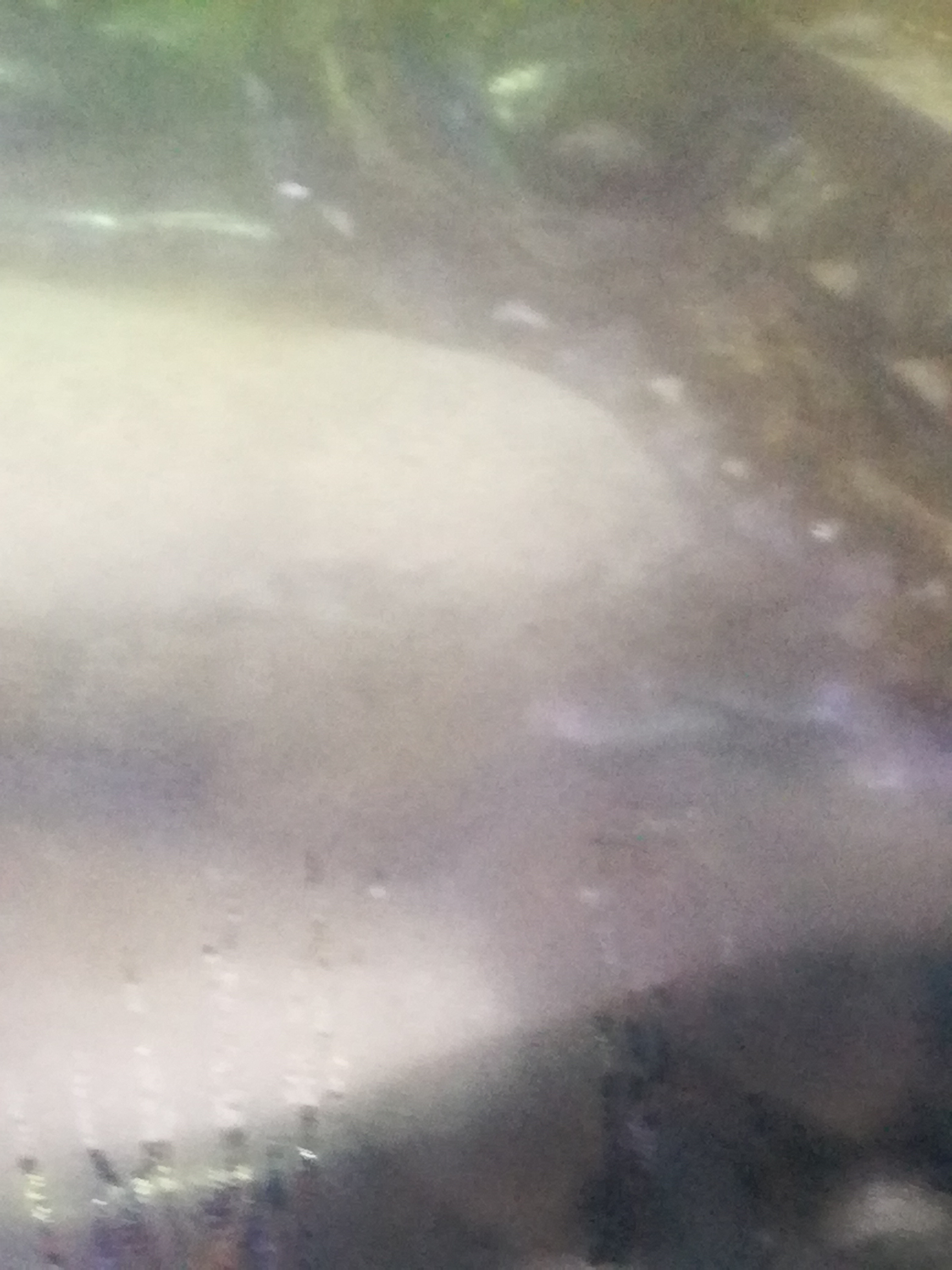 IMG 20220530 100630.jpg