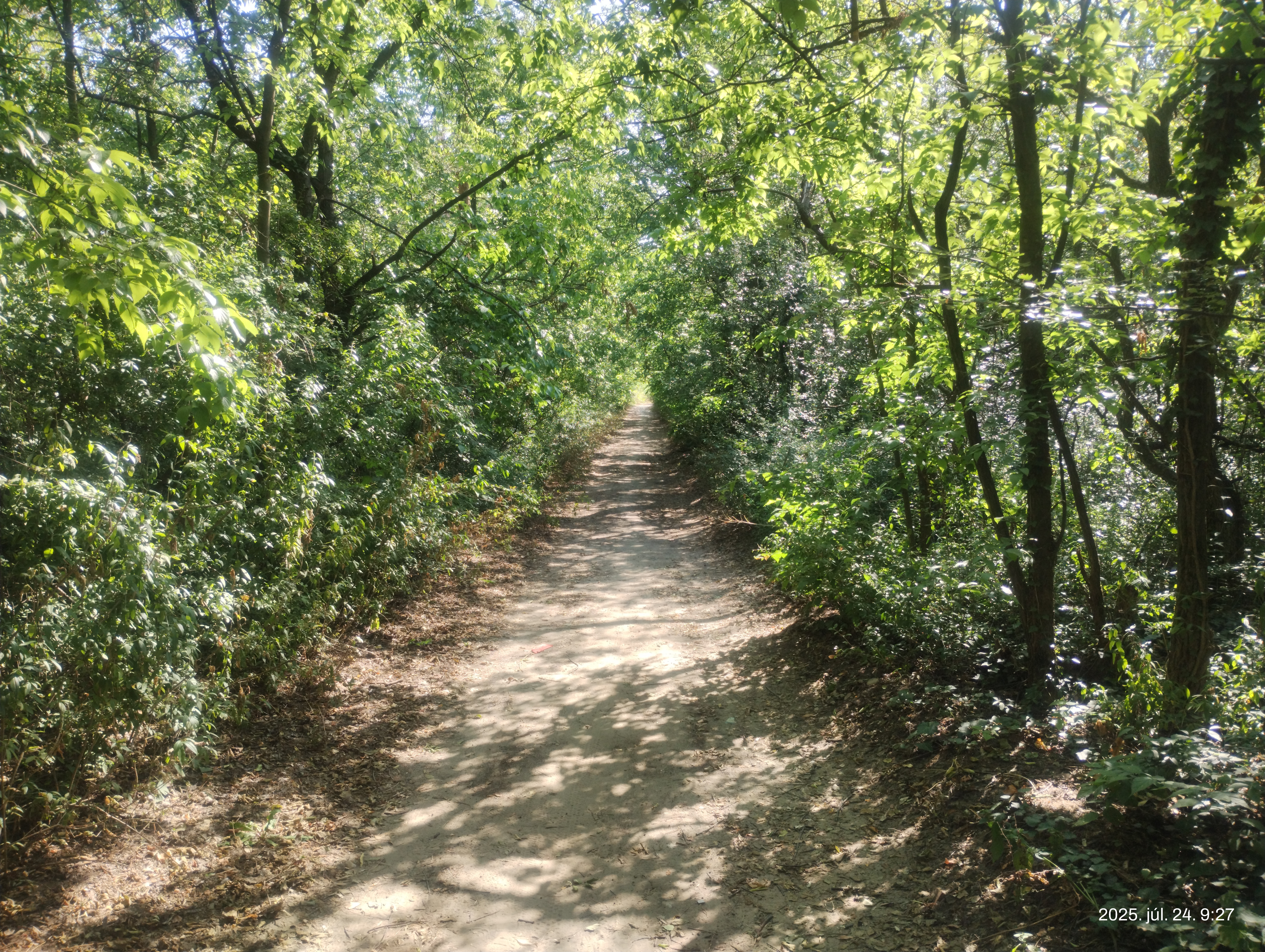 IMG 20250724 092751541.jpg