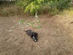 FB IMG 1687127587008.jpg
