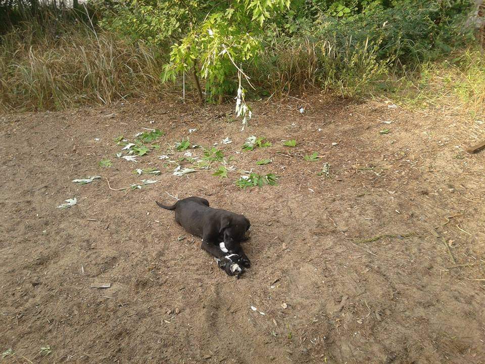 FB IMG 1687127587008.jpg