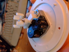 IMG 20250116 000311 719.jpg