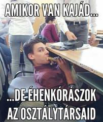 sesa