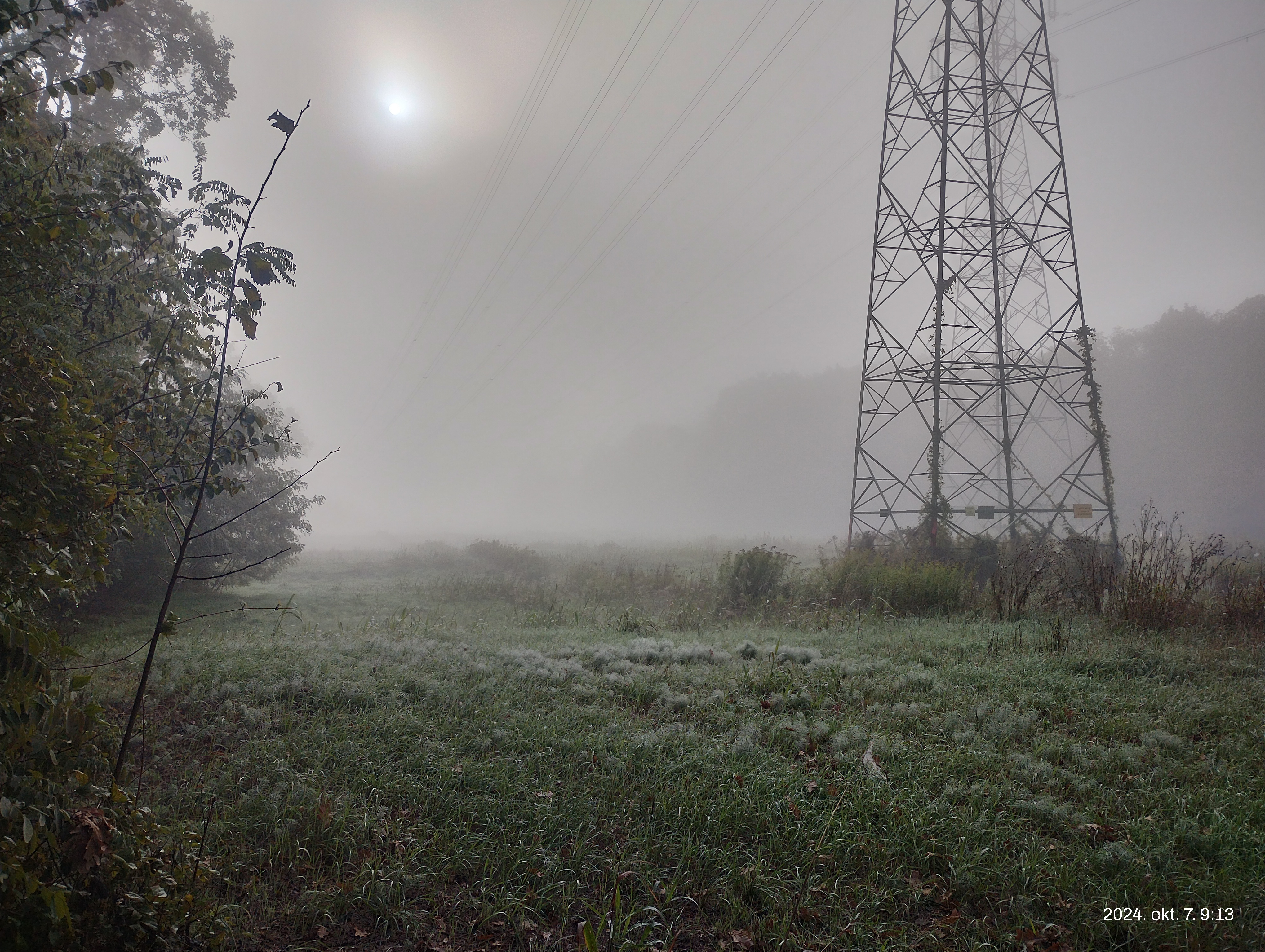 IMG 20241007 092512077 HDR.jpg