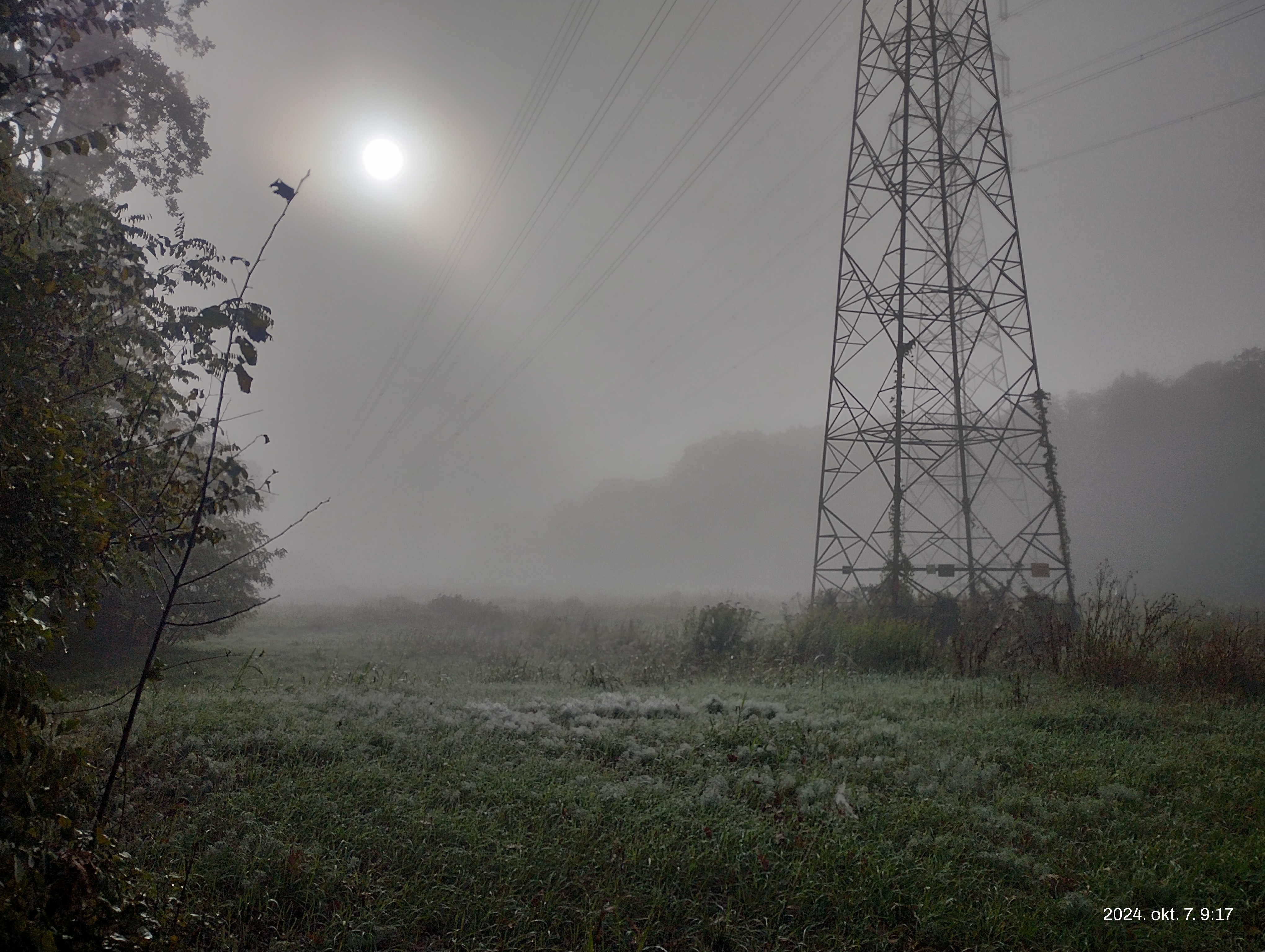 IMG 20241007 092512077 HDR.jpg