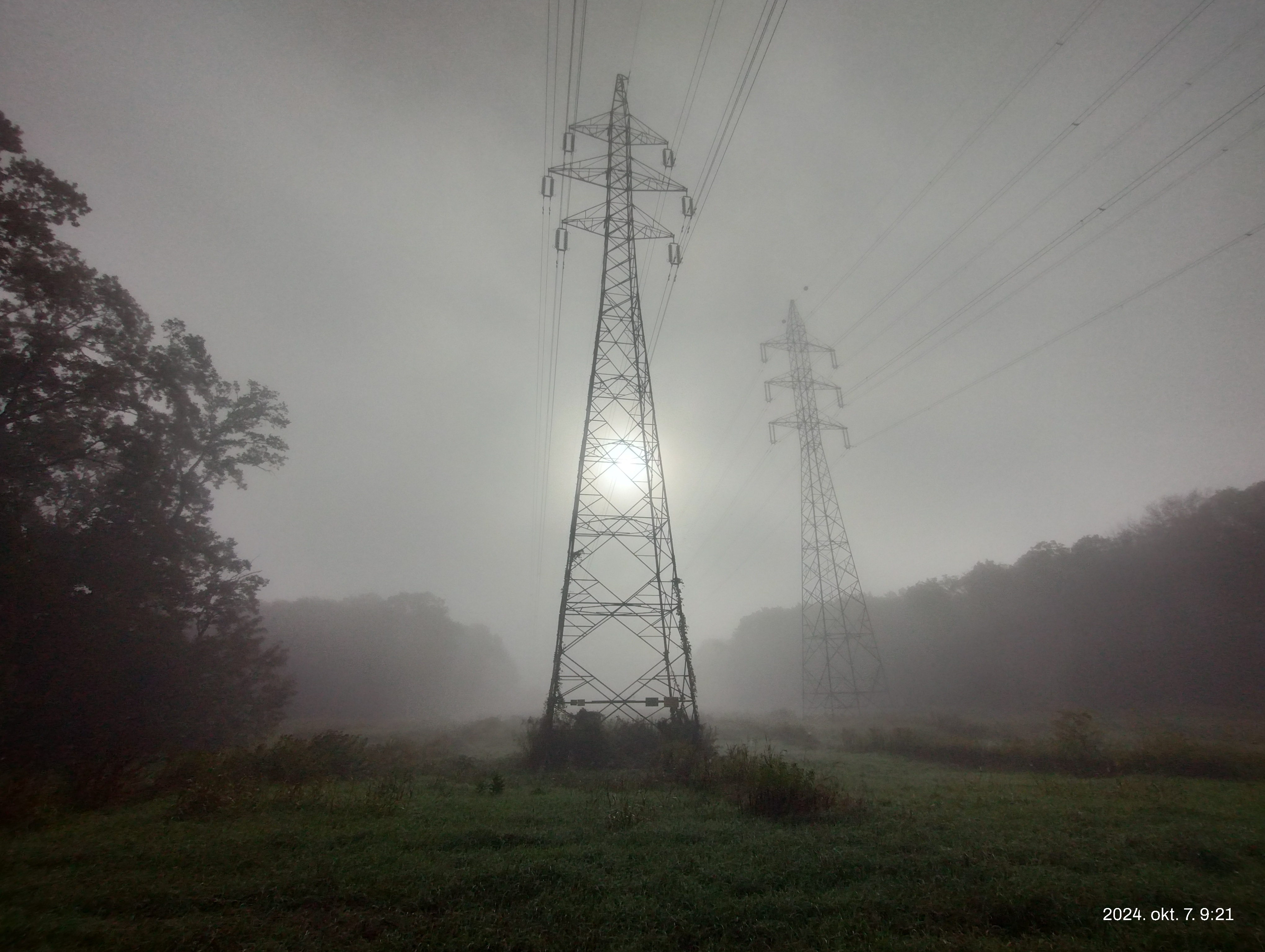 IMG 20241007 092512077 HDR.jpg