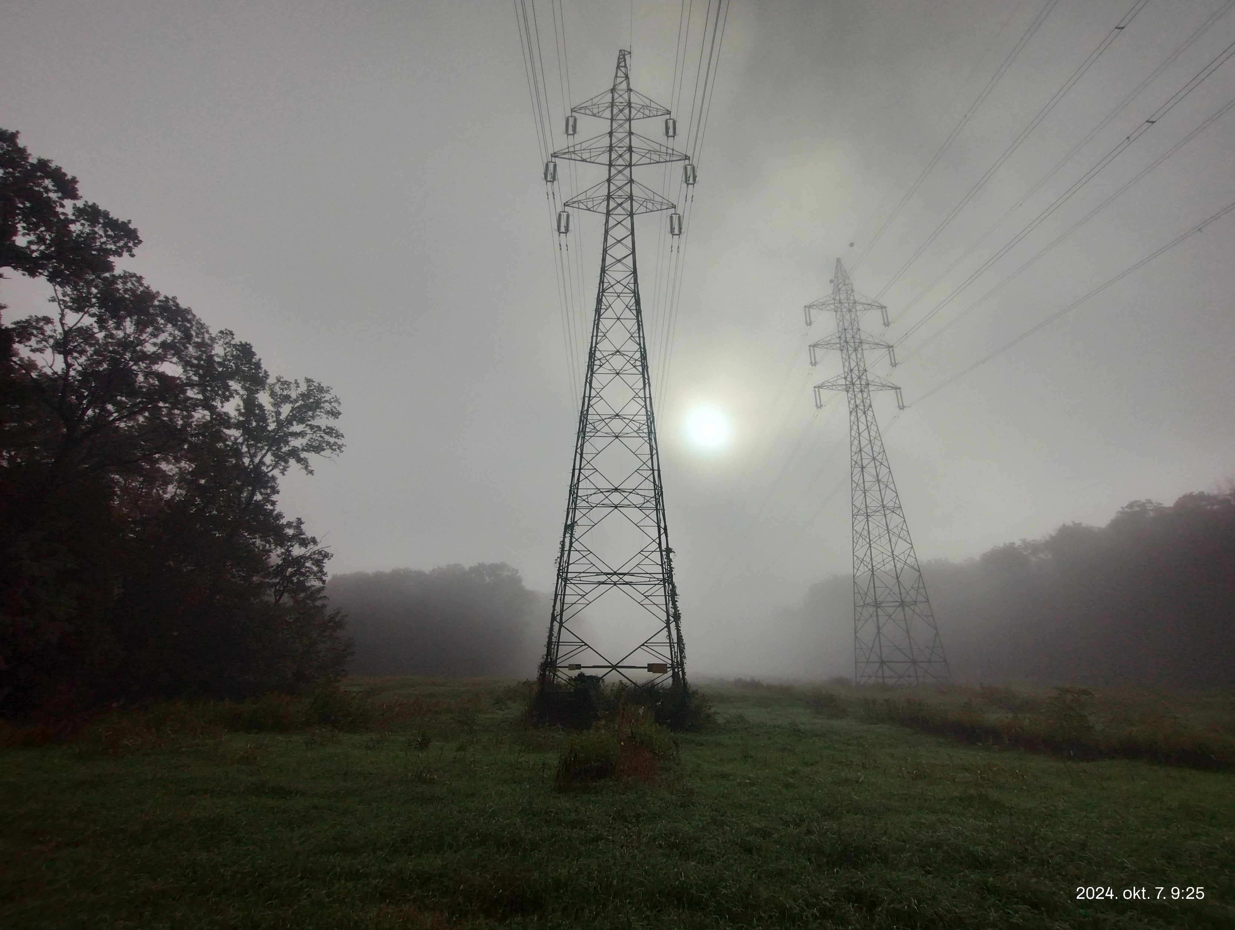 IMG 20241007 092512077 HDR.jpg