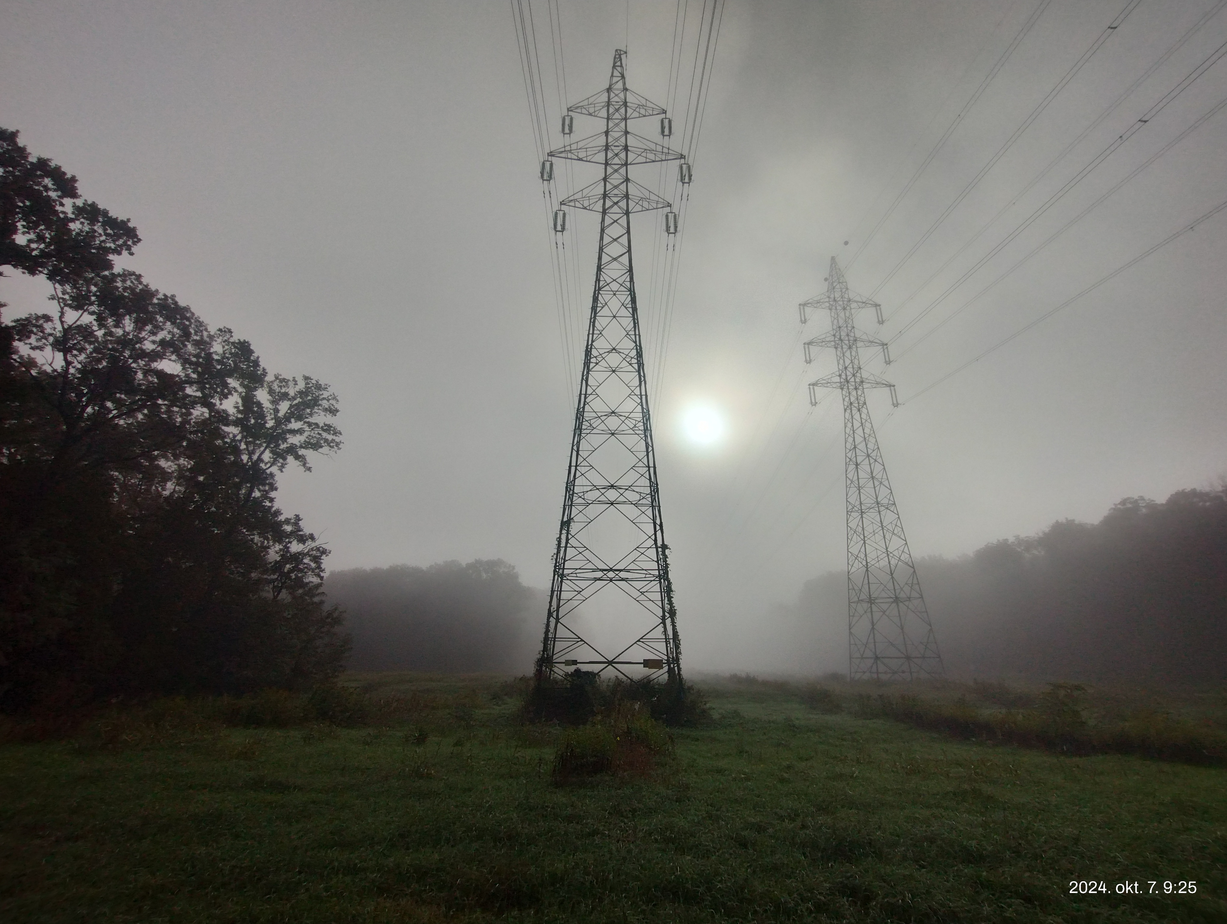 IMG 20241007 092512077 HDR.jpg