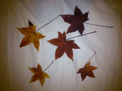 Leaves