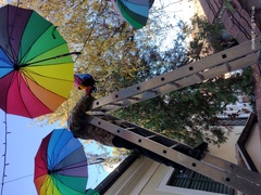 IMG 20241115 112106499.jpg