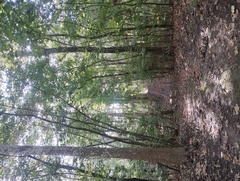 IMG 20241007 100050902.jpg