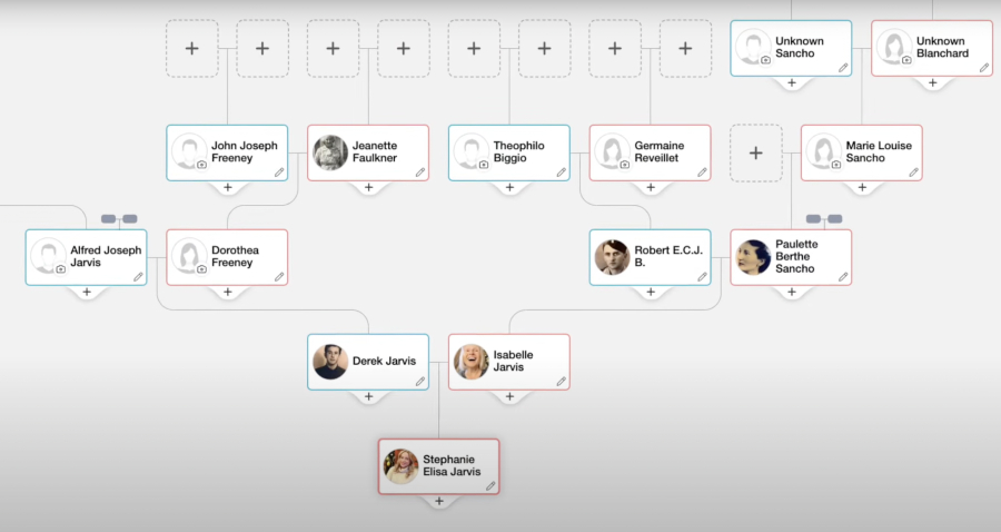 Family Tree